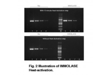 Immolase DNA Polymerase - Công Ty Cổ Phần Công Nghệ TBR